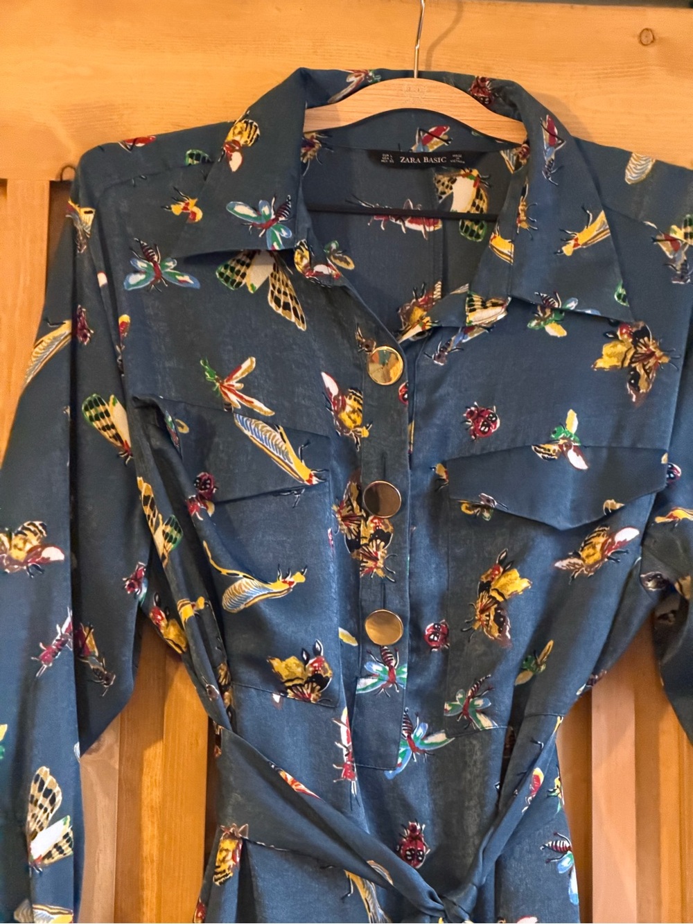 Zara Teal Long-Sleeve Bug & Butterfly Shirt Dress - Picture 2 of 5